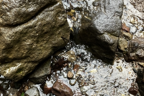 Water on rocks, Shasta 2024